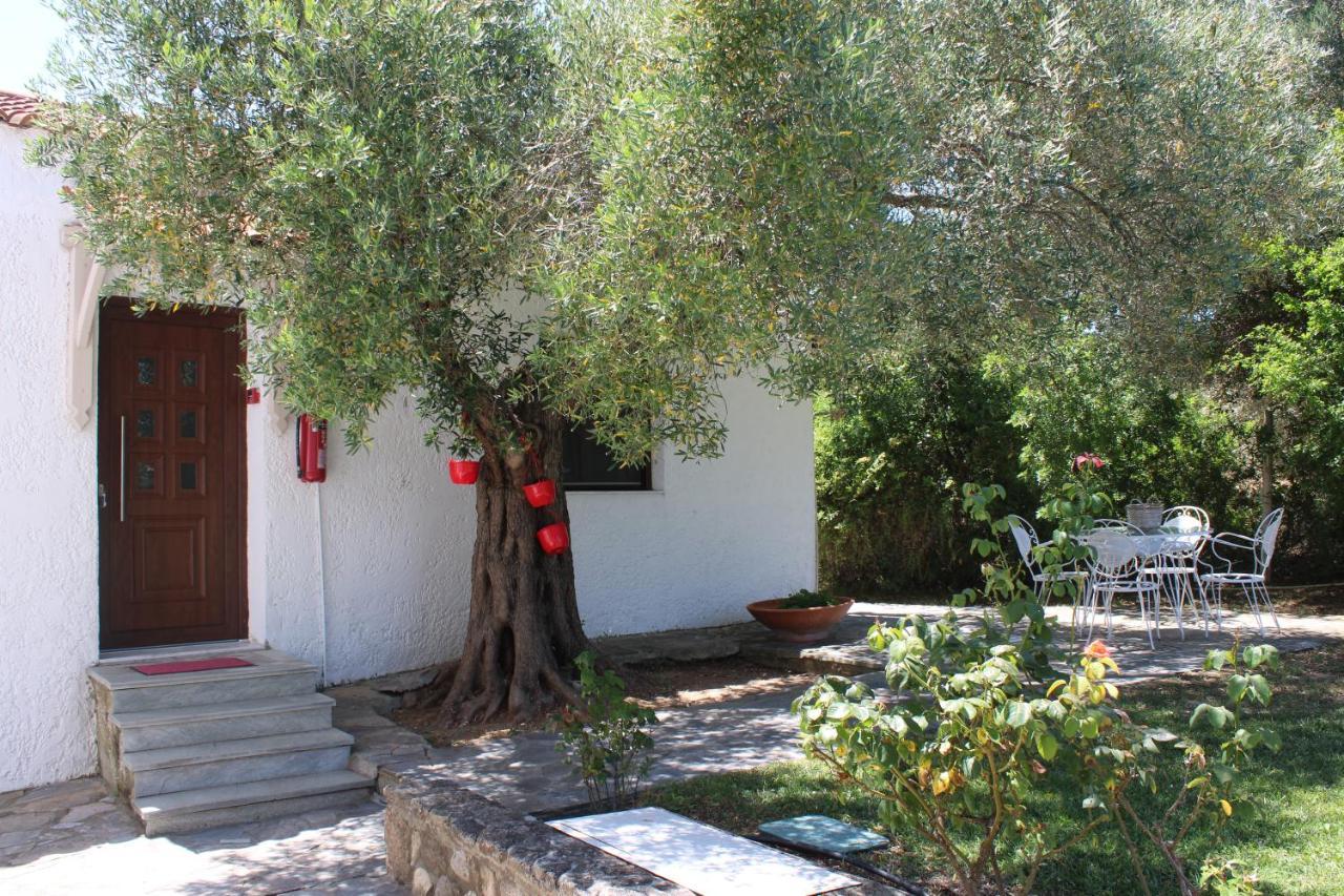 Marios Garden House Apartment Afytos Exterior foto